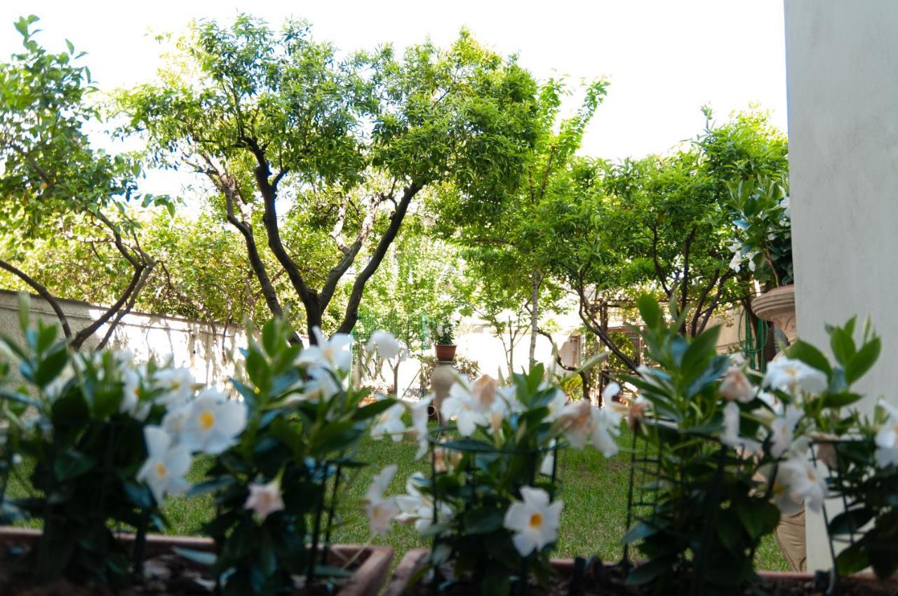 Casa Teresinella Garden Διαμέρισμα Torre Annunziata Εξωτερικό φωτογραφία