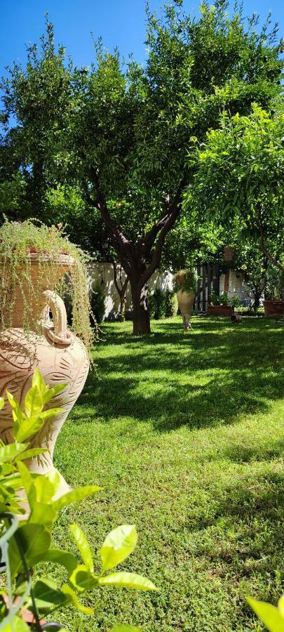 Casa Teresinella Garden Διαμέρισμα Torre Annunziata Εξωτερικό φωτογραφία