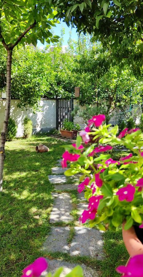Casa Teresinella Garden Διαμέρισμα Torre Annunziata Εξωτερικό φωτογραφία